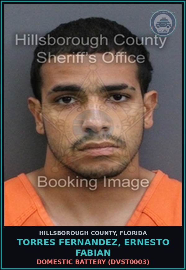 Booking mugshot of TORRES FERNANDEZ, ERNESTO FABIAN in Hillsborough County