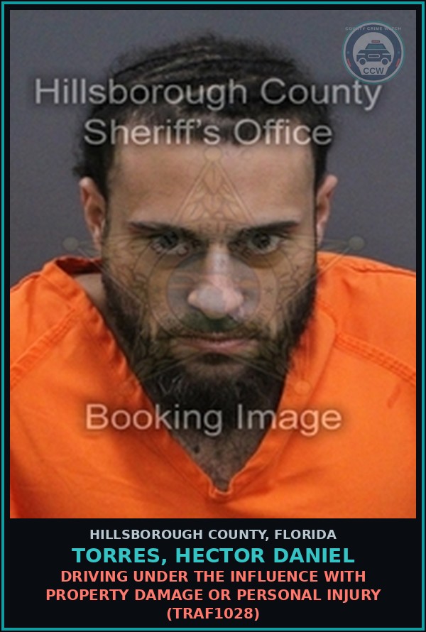 Booking mugshot of TORRES, HECTOR DANIEL in Hillsborough County