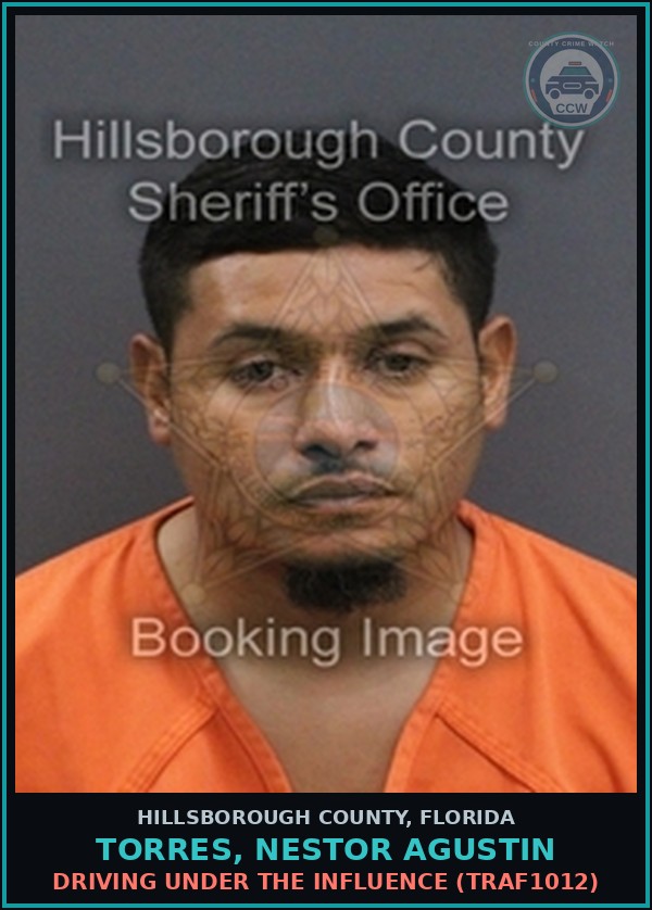 Booking mugshot of TORRES, NESTOR AGUSTIN in Hillsborough County