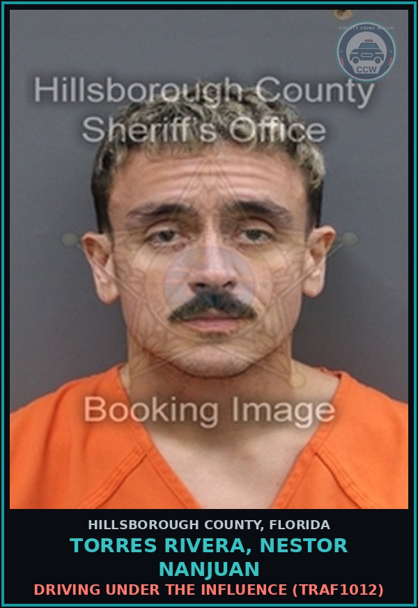 Booking mugshot of TORRES RIVERA, NESTOR NANJUAN in Hillsborough County