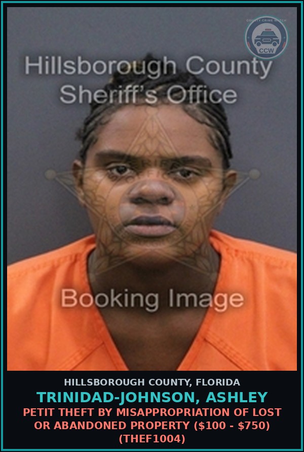 Booking mugshot of TRINIDAD-JOHNSON, ASHLEY in Hillsborough County