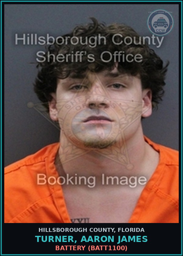 Booking mugshot of TURNER, AARON JAMES in Hillsborough County