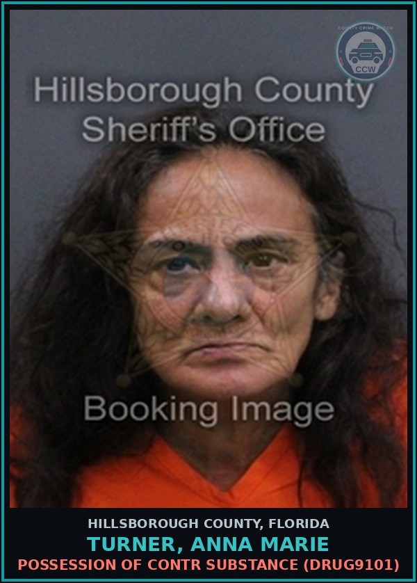 Booking mugshot of TURNER, ANNA MARIE in Hillsborough County