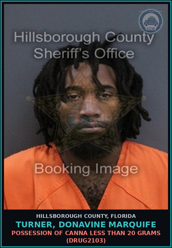 Booking mugshot of TURNER, DONAVINE MARQUIFE in Hillsborough County