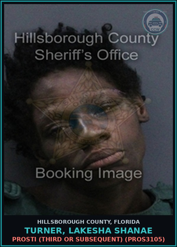 Booking mugshot of TURNER, LAKESHA SHANAE in Hillsborough County