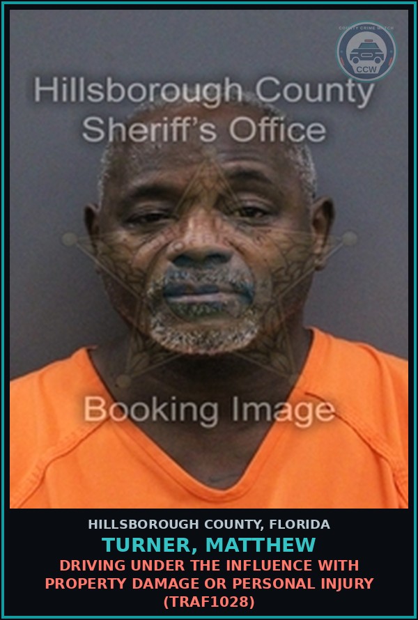 Booking mugshot of TURNER, MATTHEW in Hillsborough County