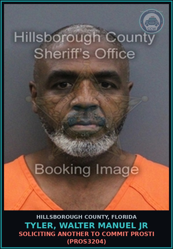 Booking mugshot of TYLER, WALTER MANUEL JR in Hillsborough County