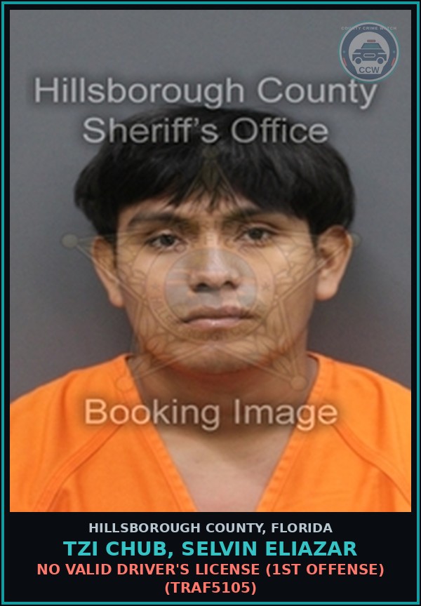 Booking mugshot of TZI CHUB, SELVIN ELIAZAR in Hillsborough County