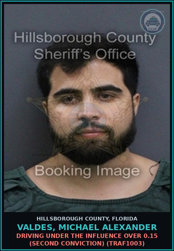 Booking mugshot of VALDES, MICHAEL ALEXANDER in Hillsborough County
