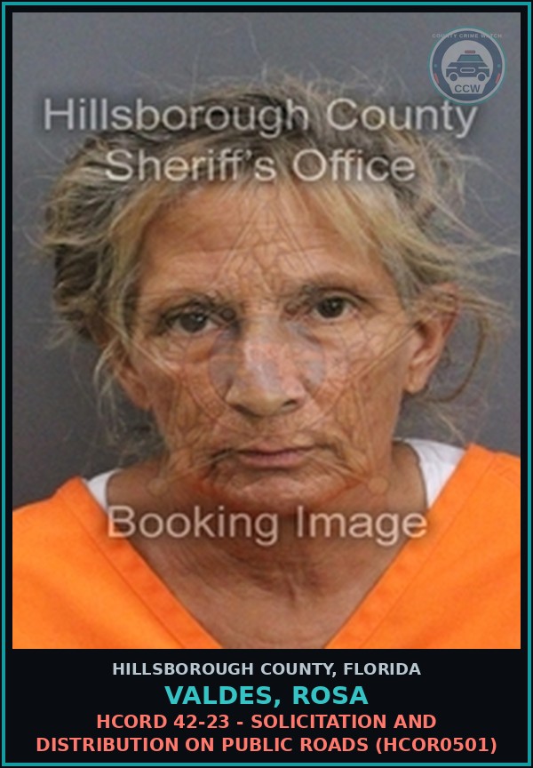 Booking mugshot of VALDES, ROSA in Hillsborough County