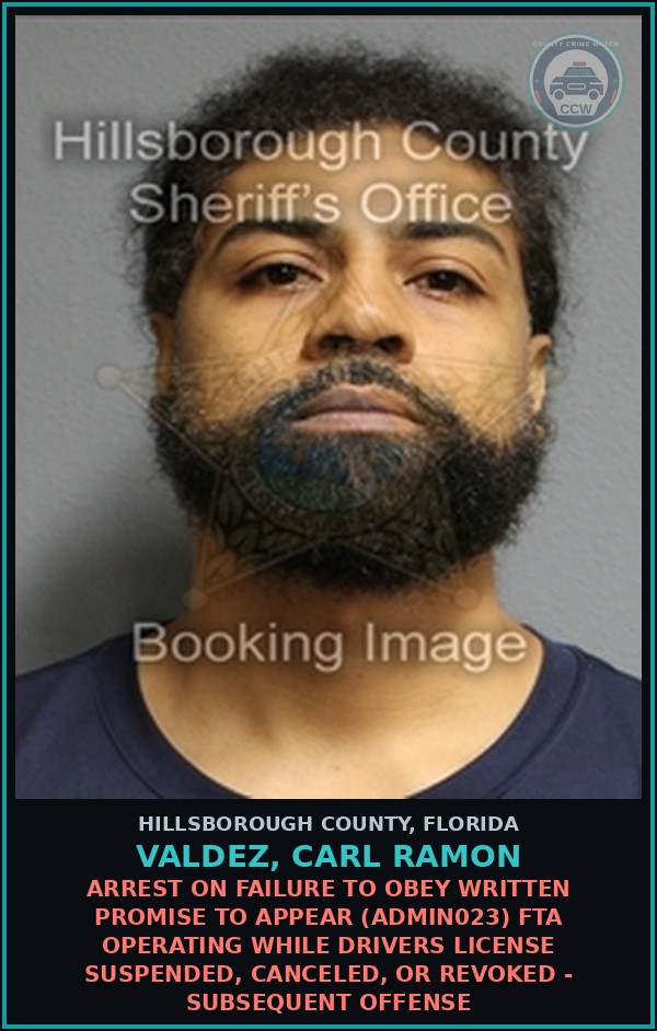 Booking mugshot of VALDEZ, CARL RAMON in Hillsborough County