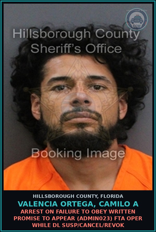 Booking mugshot of VALENCIA ORTEGA, CAMILO A in Hillsborough County