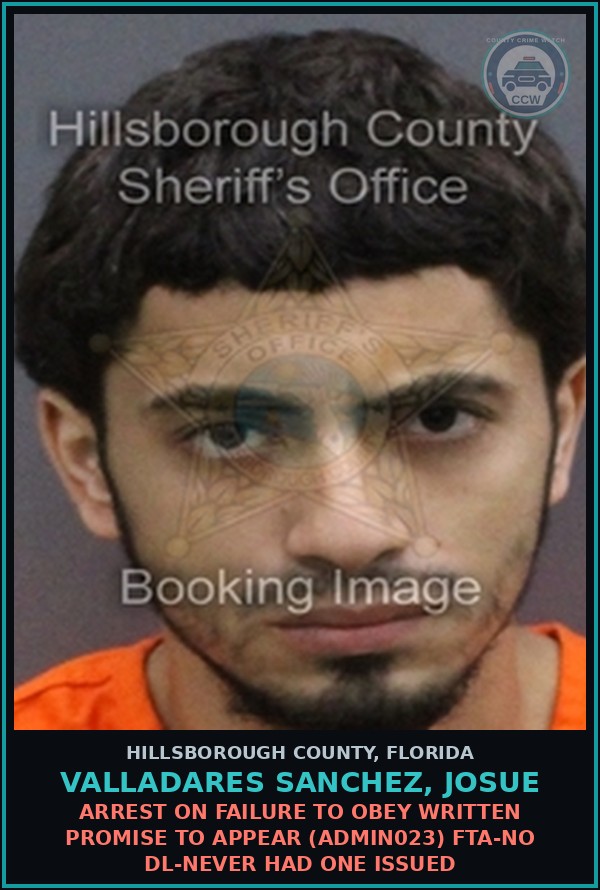 Booking mugshot of VALLADARES SANCHEZ, JOSUE in Hillsborough County