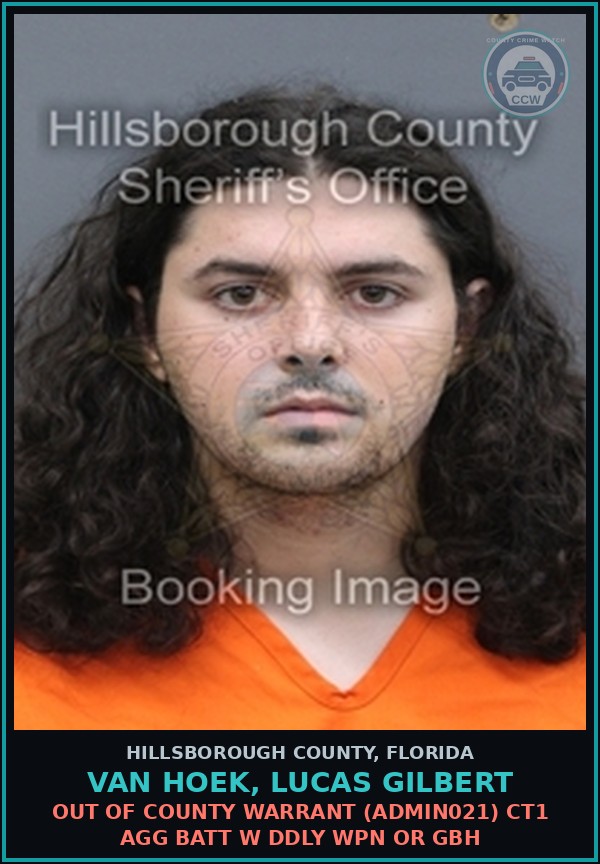 Booking mugshot of VAN HOEK, LUCAS GILBERT in Hillsborough County