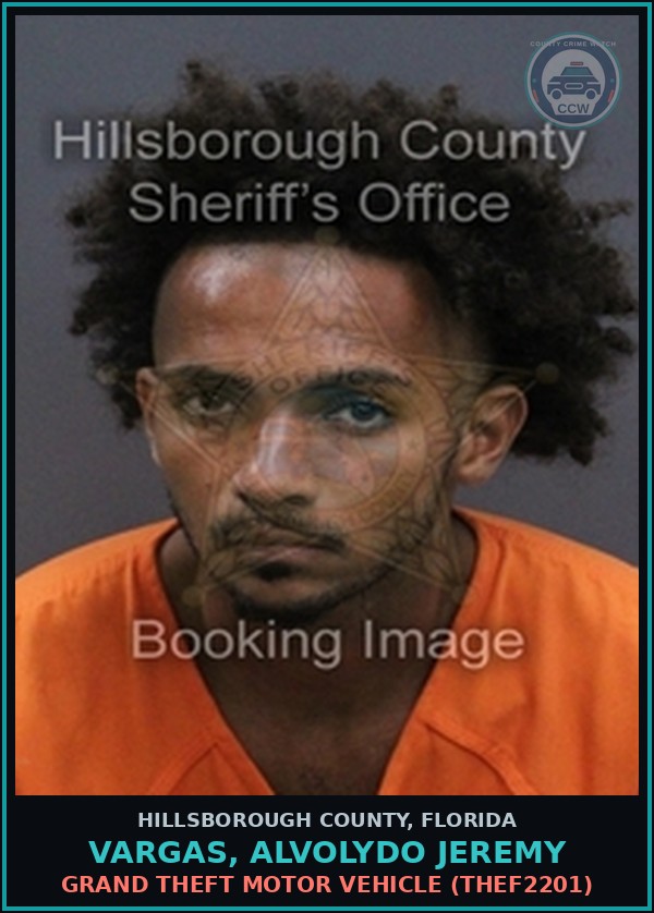 Booking mugshot of VARGAS, ALVOLYDO JEREMY in Hillsborough County