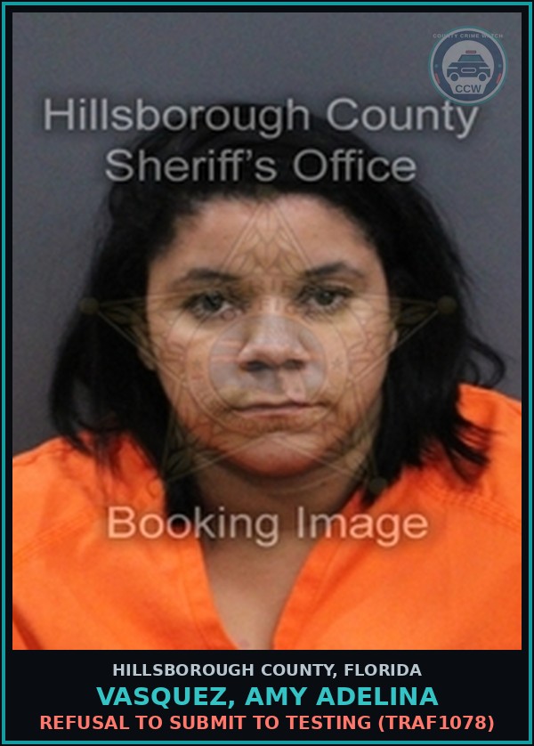 Booking mugshot of VASQUEZ, AMY ADELINA in Hillsborough County
