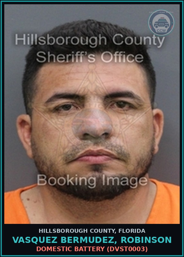 Booking mugshot of VASQUEZ BERMUDEZ, ROBINSON in Hillsborough County