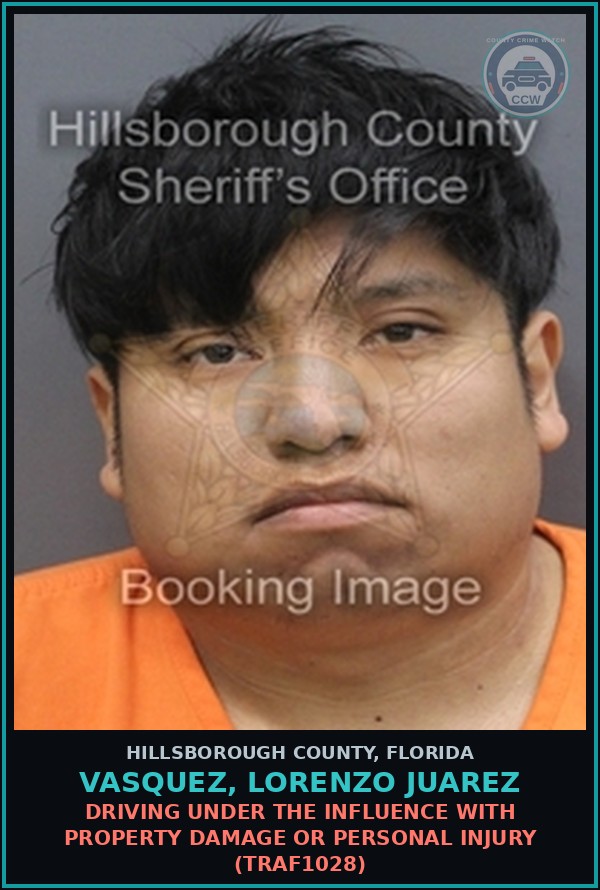 Booking mugshot of VASQUEZ, LORENZO JUAREZ in Hillsborough County