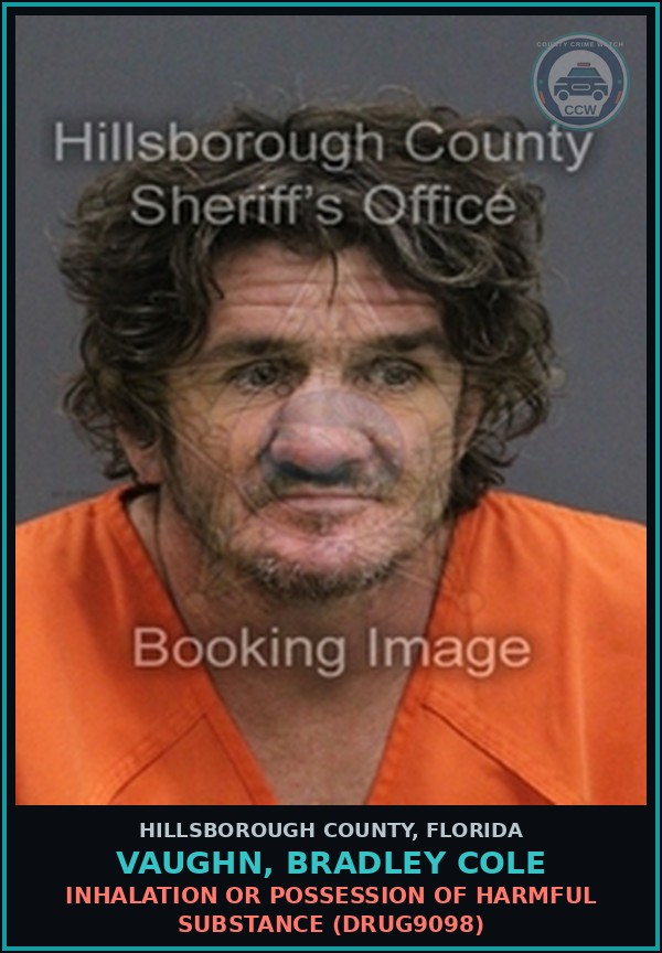 Booking mugshot of VAUGHN, BRADLEY COLE in Hillsborough County