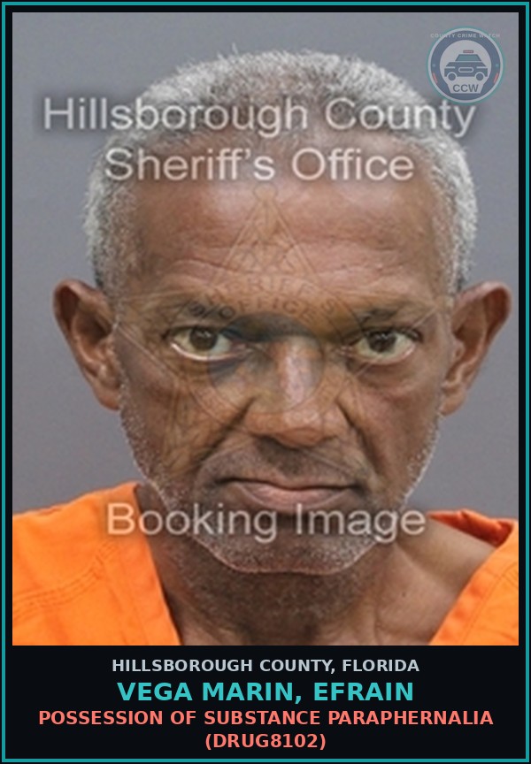 Booking mugshot of VEGA MARIN, EFRAIN in Hillsborough County