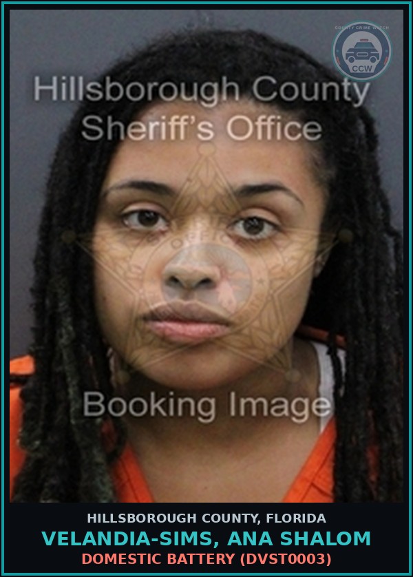 Booking mugshot of VELANDIA-SIMS, ANA SHALOM in Hillsborough County