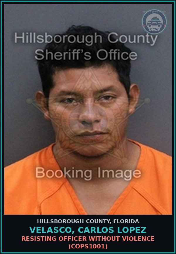 Booking mugshot of VELASCO, CARLOS LOPEZ in Hillsborough County
