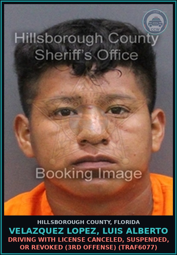 Booking mugshot of VELAZQUEZ LOPEZ, LUIS ALBERTO in Hillsborough County