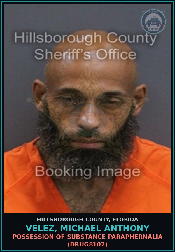 Booking mugshot of VELEZ, MICHAEL ANTHONY in Hillsborough County