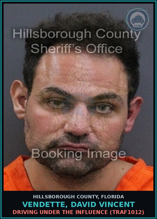 Booking mugshot of VENDETTE, DAVID VINCENT in Hillsborough County