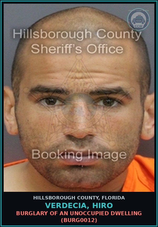 Booking mugshot of VERDECIA, HIRO in Hillsborough County