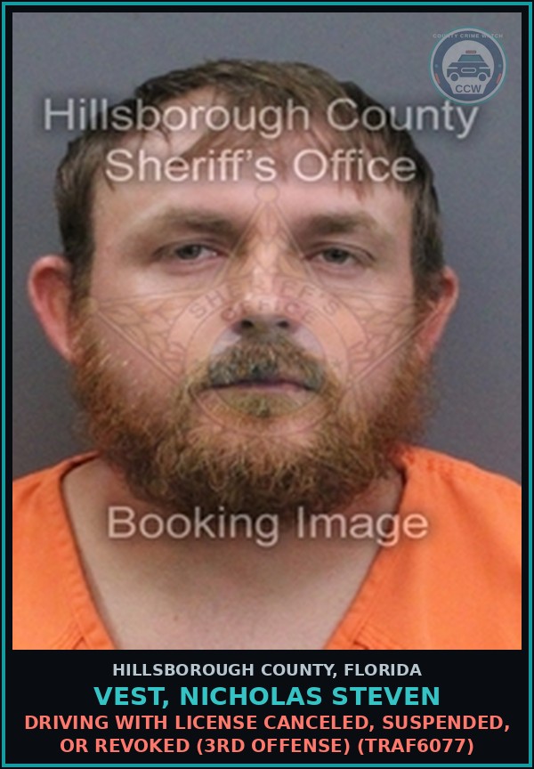 Booking mugshot of VEST, NICHOLAS STEVEN in Hillsborough County
