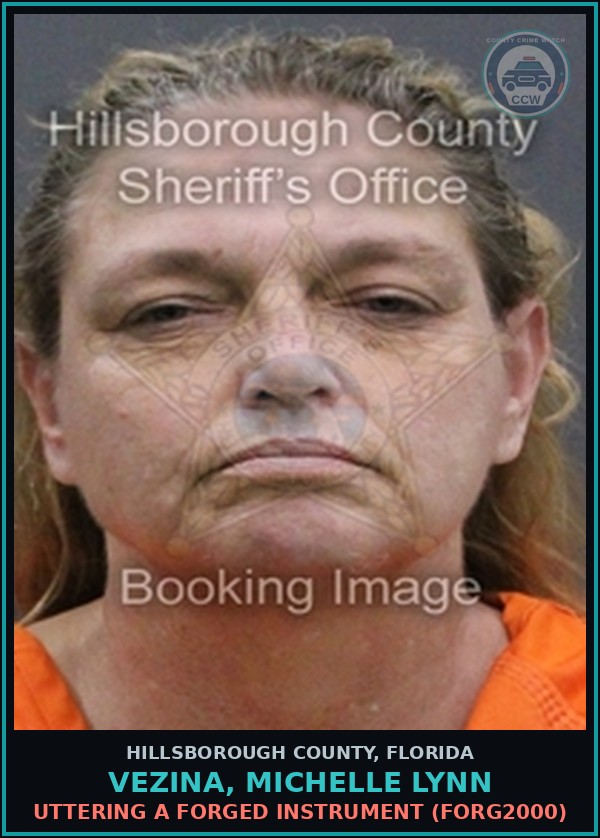 Booking mugshot of VEZINA, MICHELLE LYNN in Hillsborough County