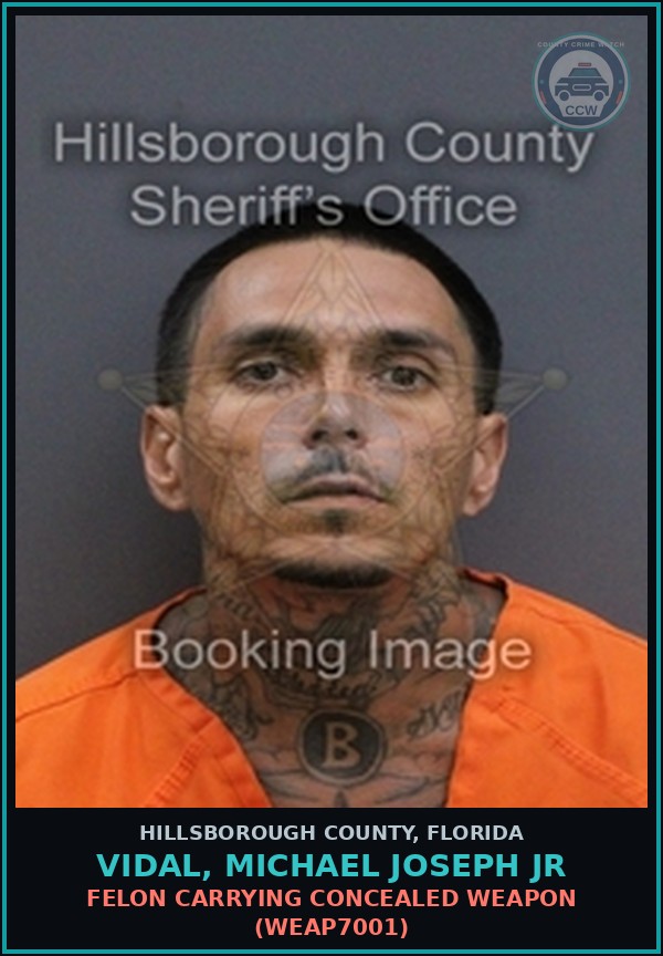 Booking mugshot of VIDAL, MICHAEL JOSEPH JR in Hillsborough County