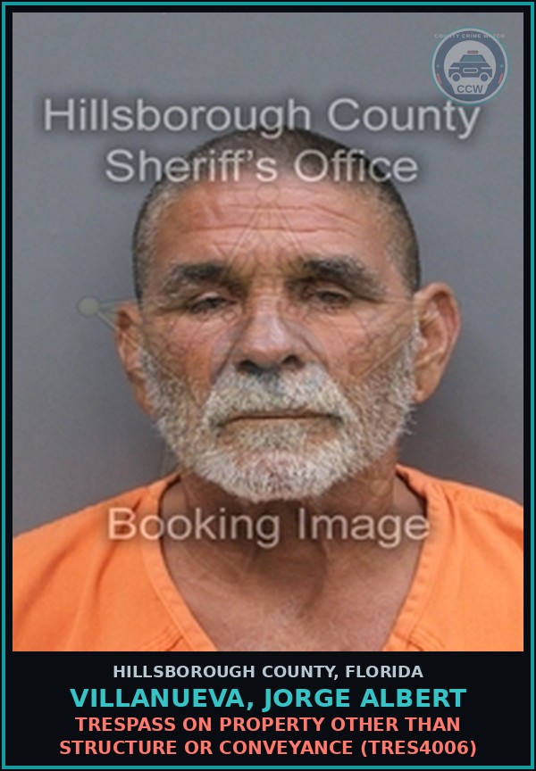 Booking mugshot of VILLANUEVA, JORGE ALBERT in Hillsborough County