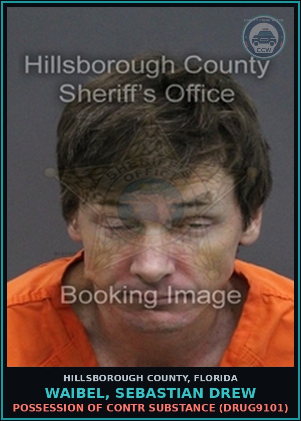 Booking mugshot of WAIBEL, SEBASTIAN DREW in Hillsborough County