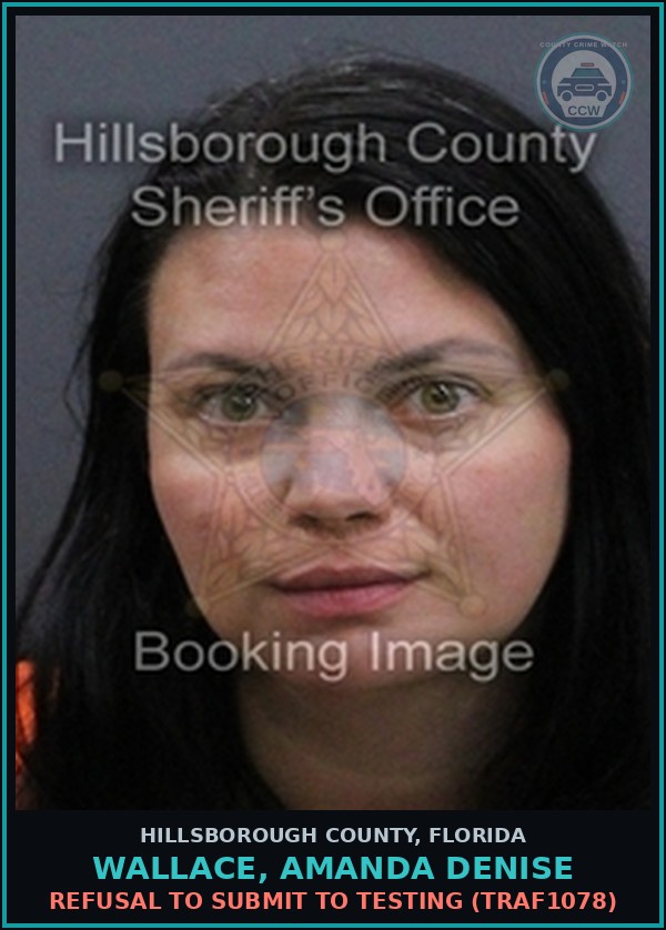 Booking mugshot of WALLACE, AMANDA DENISE in Hillsborough County