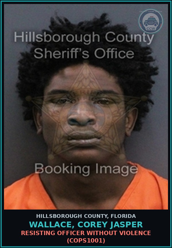 Booking mugshot of WALLACE, COREY JASPER in Hillsborough County