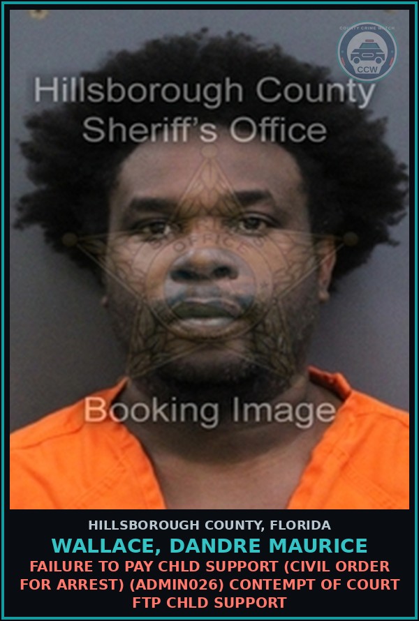 Booking mugshot of WALLACE, DANDRE MAURICE in Hillsborough County
