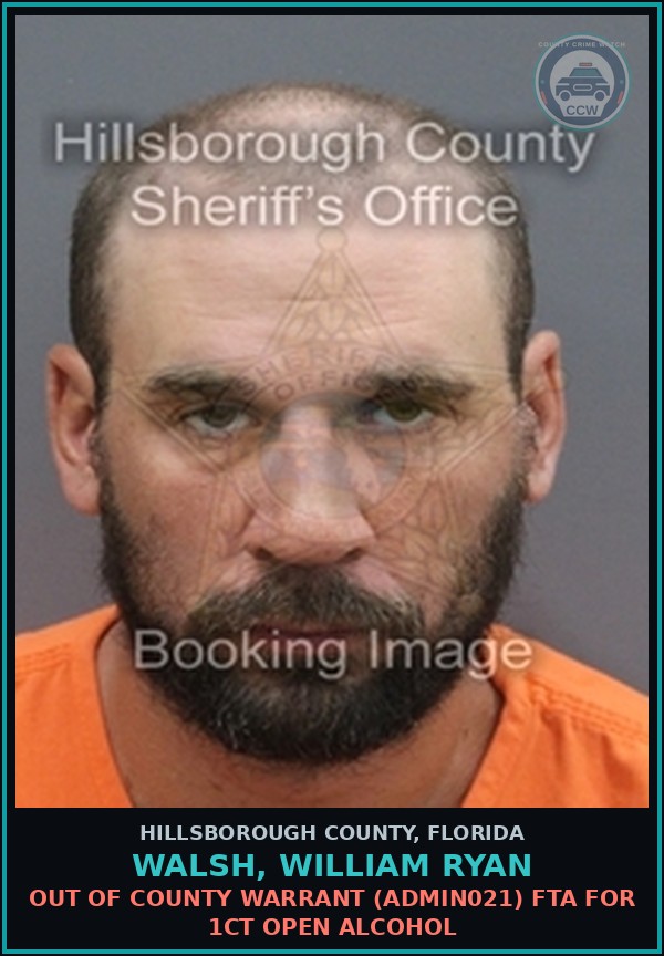 Booking mugshot of WALSH, WILLIAM RYAN in Hillsborough County