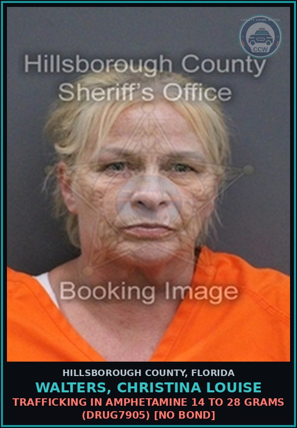 Booking mugshot of WALTERS, CHRISTINA LOUISE in Hillsborough County