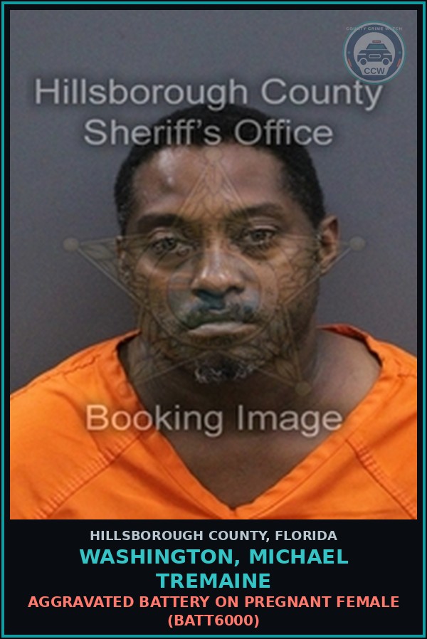 Booking mugshot of WASHINGTON, MICHAEL TREMAINE in Hillsborough County