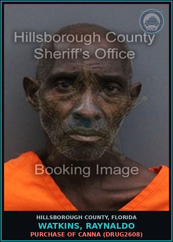 Booking mugshot of WATKINS, RAYNALDO in Hillsborough County