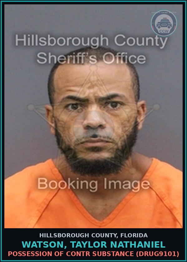Booking mugshot of WATSON, TAYLOR NATHANIEL in Hillsborough County