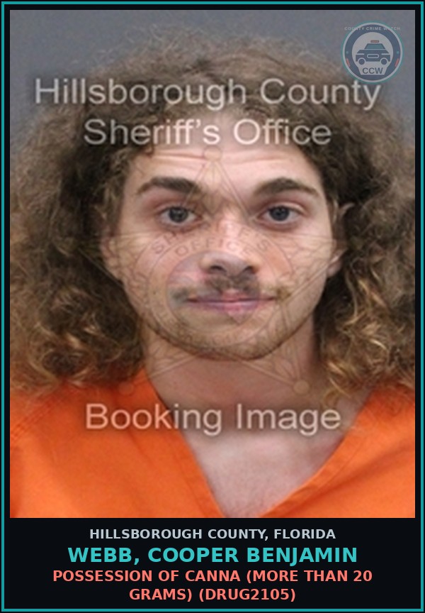 Booking mugshot of WEBB, COOPER BENJAMIN in Hillsborough County