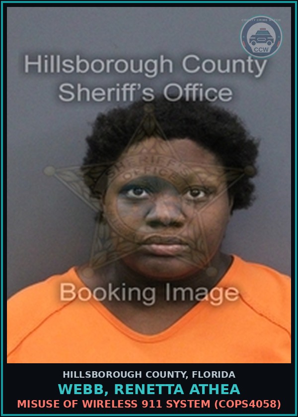 Booking mugshot of WEBB, RENETTA ATHEA in Hillsborough County