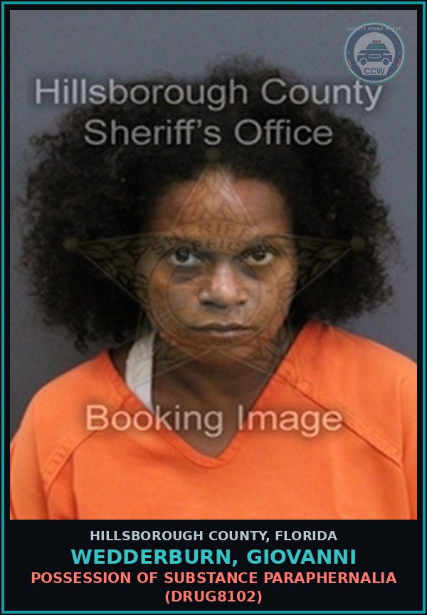 Booking mugshot of WEDDERBURN, GIOVANNI in Hillsborough County