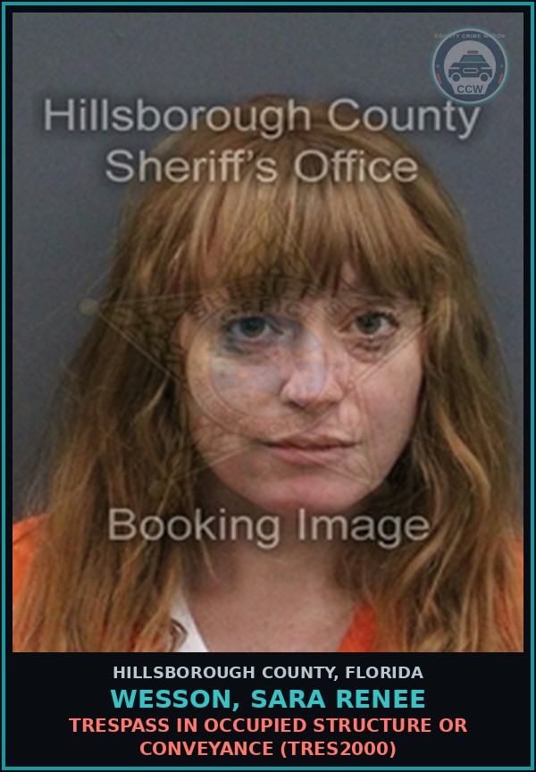 Booking mugshot of WESSON, SARA RENEE in Hillsborough County