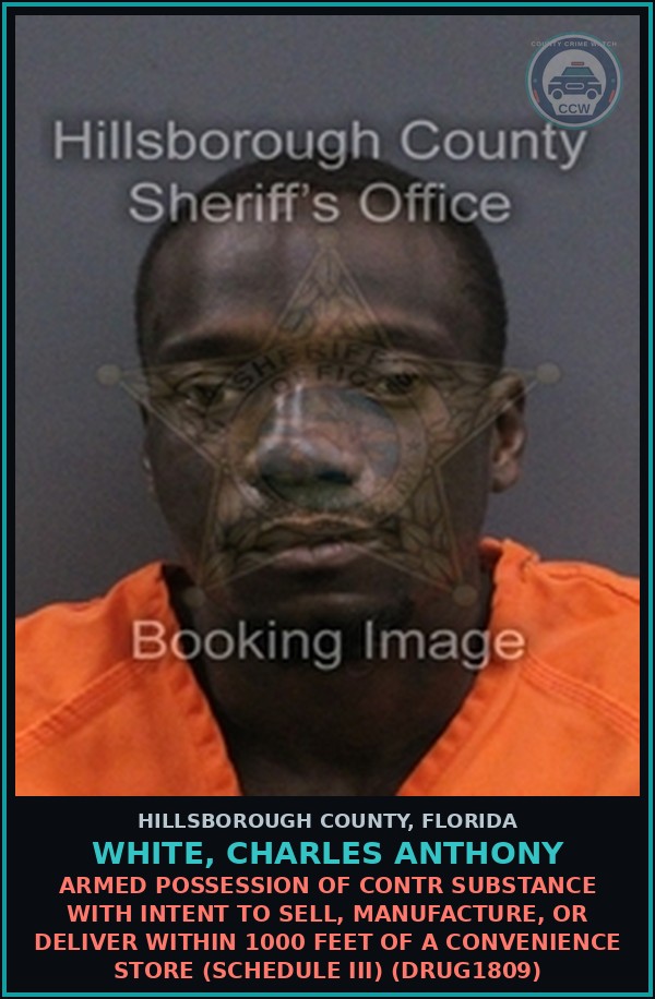 Booking mugshot of WHITE, CHARLES ANTHONY in Hillsborough County