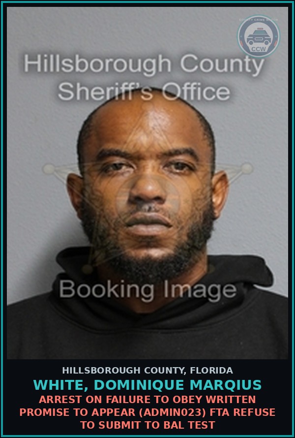 Booking mugshot of WHITE, DOMINIQUE MARQIUS in Hillsborough County