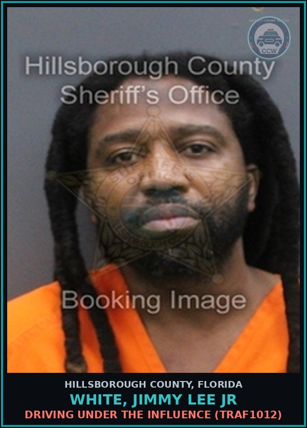 Booking mugshot of WHITE, JIMMY LEE JR in Hillsborough County